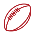 Line icon of football